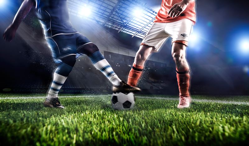 奥运骑手、世界前十云集！国际二星级马术赛在蓉开赛