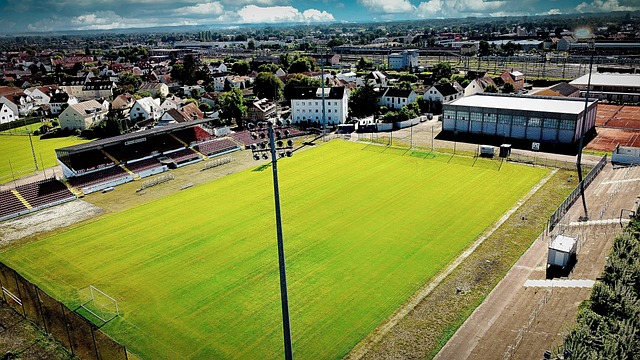 他被错误地 他被错误地