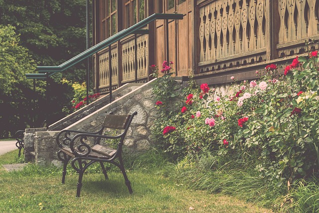 情背后的力 情背后的力