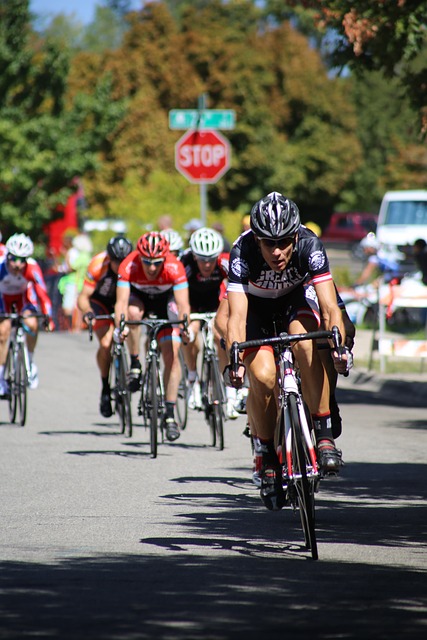 赛的焦点 赛的焦点