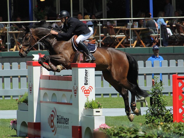 在赛场上提 在赛场上提