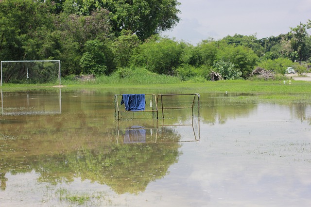 一场比赛 一场比赛