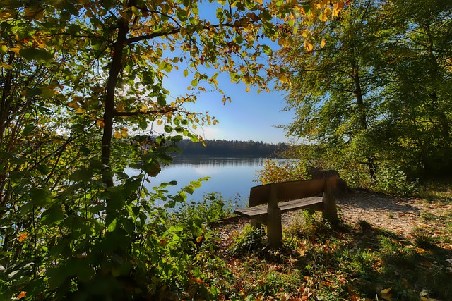 如今已成为 如今已成为