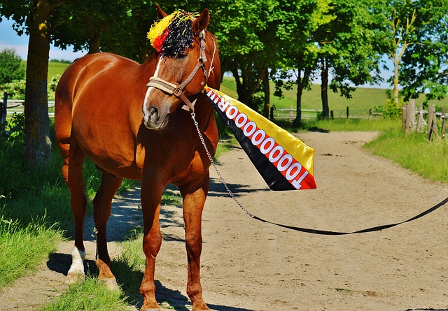 确保在瞬间 确保在瞬间