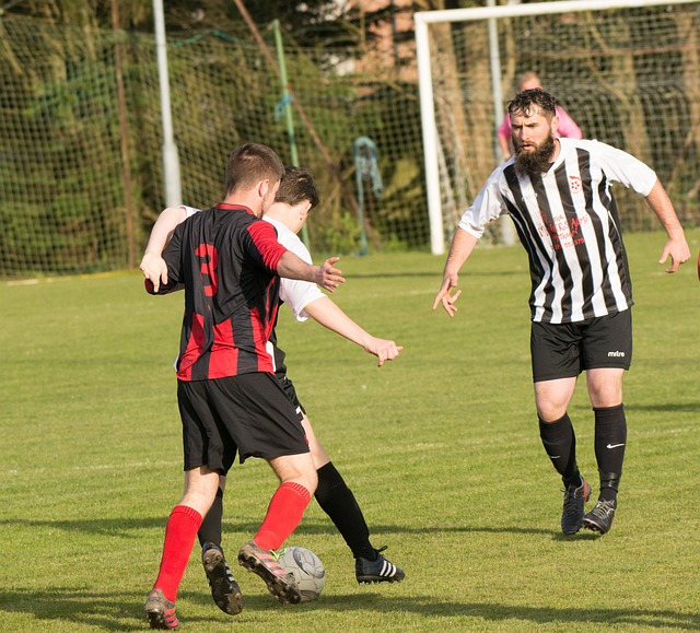 赋的林诗栋 赋的林诗栋