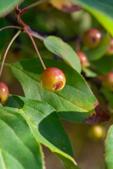 联合国人权理事会第58届会议举行 外交部介绍有关情况.