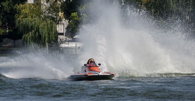 观众能够更 观众能够更